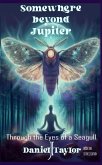 Somewhere Beyond Jupiter - Through the Eyes of a Seagull (eBook, ePUB)