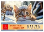 Katzen - Kalender für alle Miezenfans (Wandkalender 2026 DIN A4 quer), CALVENDO Monatskalender