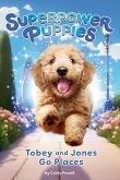 Tobey and Jones Go Places #4 (eBook, ePUB) Tobey and Jones Go Places #4 (eBook, ePUB)