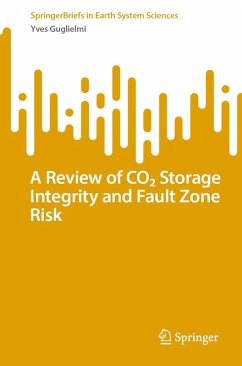 Cover A Review of CO2 Storage Integrity and Fault Zone Risk (eBook, PDF)