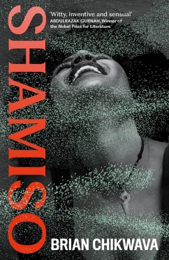 Cover Shamiso (eBook, ePUB)