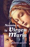 Novena a la Virgen María : alivio de los que sufren