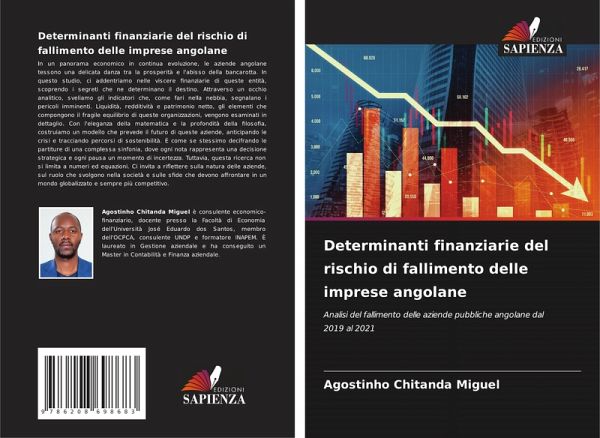 Determinanti finanziarie del rischio di fallimento delle imprese angolane Determinanti finanziarie del rischio di fallimento delle imprese angolane