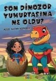 Son Dinozor Yumurtasina Ne Oldu Son Dinozor Yumurtasina Ne Oldu