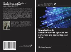 Simulación de amplificadores ópticos en sistemas de comunicación SDM - Youssef, Hesham