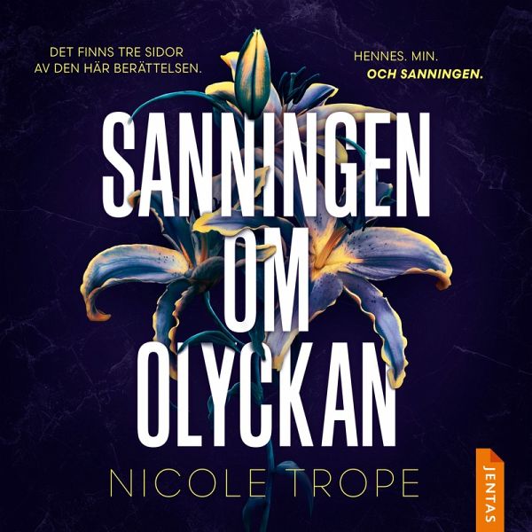 Sanningen om olyckan (MP3-Download)