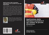 Applicazione dello Standard normativo 6 nei cantieri di piccole dimensioni