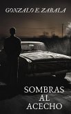 SOMBRAS AL ACECHO (eBook, ePUB)