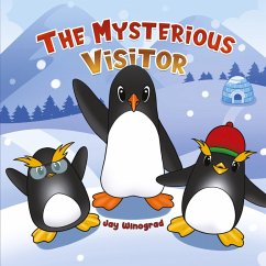 Cover The Mysterious Visitor