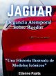 Jaguar - Bild 1