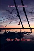After the Storm. After the Storm.