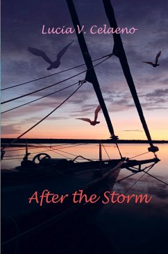 Cover After the Storm.