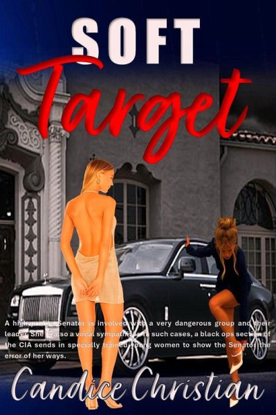 Soft Target (eBook, ePUB) Soft Target (eBook, ePUB)