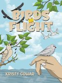 Birds in Flight (eBook, ePUB)