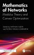 Mathematics of Networks - Bild 1