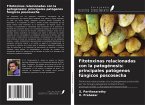 Fitotoxinas relacionadas con la patogénesis: principales patógenos fúngicos poscosecha