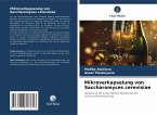 Mikroverkapselung von Saccharomyces cerevisiae