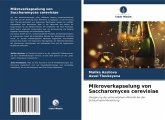 Mikroverkapselung von Saccharomyces cerevisiae Mikroverkapselung von Saccharomyces cerevisiae