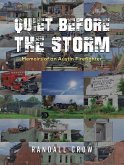 Quiet Before the Storm (eBook, ePUB)