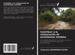 Contribuir a la restauración de ecosistemas estables - Ndamwenge Bauma, Deogratias