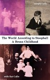 World According to Stoopball (eBook, ePUB) World According to Stoopball (eBook, ePUB)