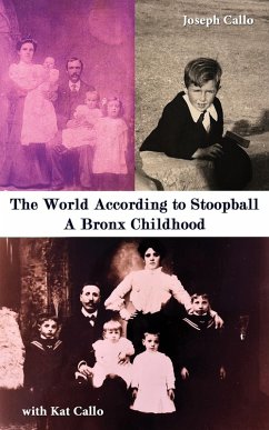 Cover World According to Stoopball (eBook, ePUB)