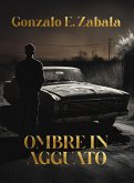 Ombre In Agguato (eBook, ePUB)