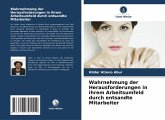 Wahrnehmung der Herausforderungen in ihrem Arbeitsumfeld durch entsandte Mitarbeiter Wahrnehmung der Herausforderungen in ihrem Arbeitsumfeld durch entsandte Mitarbeiter