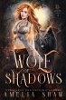 Wolf of Shadows - Bild 1
