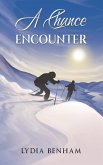 Chance Encounter (eBook, ePUB) Chance Encounter (eBook, ePUB)