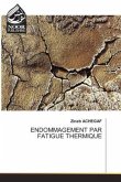 ENDOMMAGEMENT PAR FATIGUE THERMIQUE