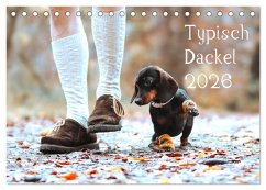 Typisch Dackel 2026 (Tischkalender 2026 DIN A5 quer), CALVENDO Monatskalender Typisch Dackel 2026 (Tischkalender 2026 DIN A5 quer), CALVENDO Monatskalender