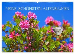 Meine schönsten Alpenblumen (Wandkalender 2026 DIN A2 quer), CALVENDO Monatskalender Meine schönsten Alpenblumen (Wandkalender 2026 DIN A2 quer), CALVENDO Monatskalender