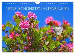 Meine schönsten Alpenblumen (Wandkalender 2026 DIN A4 quer), CALVENDO Monatskalender Meine schönsten Alpenblumen (Wandkalender 2026 DIN A4 quer), CALVENDO Monatskalender