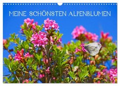 Cover Meine schönsten Alpenblumen (Wandkalender 2026 DIN A3 quer), CALVENDO Monatskalender