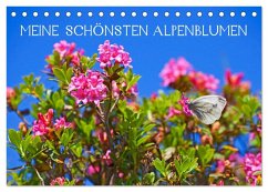 Meine schönsten Alpenblumen (Tischkalender 2026 DIN A5 quer), CALVENDO Monatskalender Meine schönsten Alpenblumen (Tischkalender 2026 DIN A5 quer), CALVENDO Monatskalender