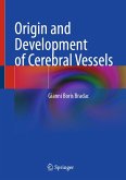 Origin and Development of Cerebral Vessels (eBook, PDF)