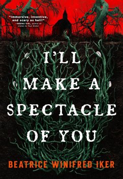 Cover I'll Make a Spectacle of You (eBook, ePUB)