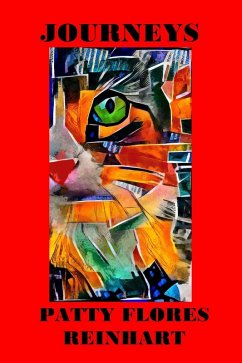 Cover Journeys (eBook, ePUB)