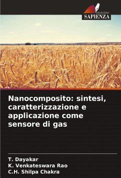 Cover Nanocomposito: sintesi, caratterizzazione e applicazione come sensore di gas