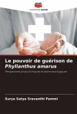Le pouvoir de guérison de Phyllanthus amarus Le pouvoir de guérison de Phyllanthus amarus