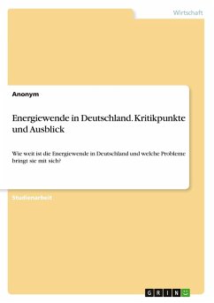 Cover Energiewende in Deutschland. Kritikpunkte und Ausblick