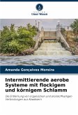 Intermittierende aerobe Systeme mit flockigem und körnigem Schlamm Intermittierende aerobe Systeme mit flockigem und körnigem Schlamm