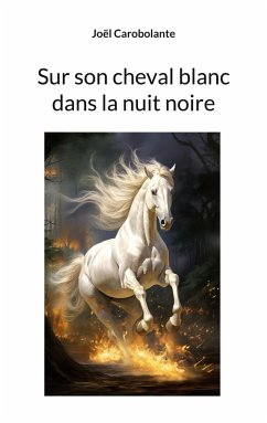 Sur son cheval blanc dans la nuit noire Sur son cheval blanc dans la nuit noire