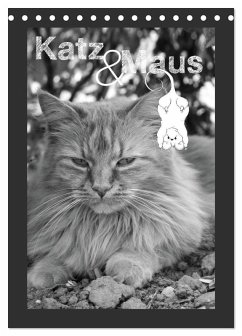 Cover Katz & Maus (Tischkalender 2026 DIN A5 hoch), CALVENDO Monatskalender