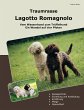 Traumrasse Lagotto Romagnolo - Bild 1