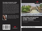 Flocculent and granular sludge intermittent aerobic systems