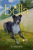 Bella, the journey of A Blind Street Dog