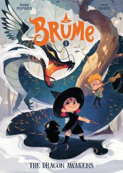 Cover Brume, Volume 1