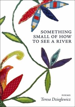 Something Small of How to See a River - Dzieglewicz, Teresa